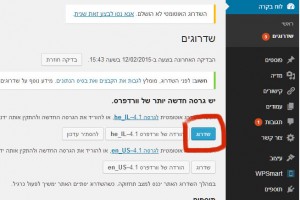 עדכון גרסה וורדפרס